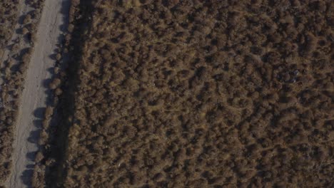 Aerial-top-down-push-over-desert-brush