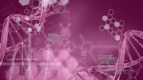 animation of chemical formulas and data processing over rotating dna chains