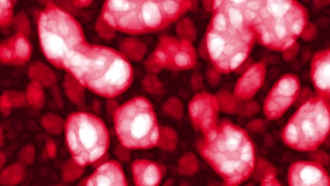 células de tejido en rojo