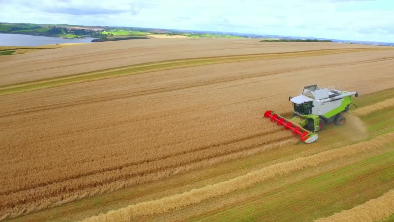 Drone footage of golden fields and combine harvester