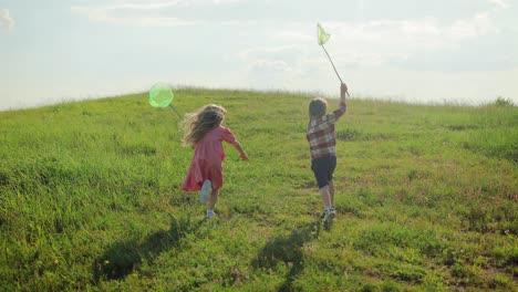 vista trasera de dos niños felices sosteniendo una red para atrapar insectos corriendo por el campo verde