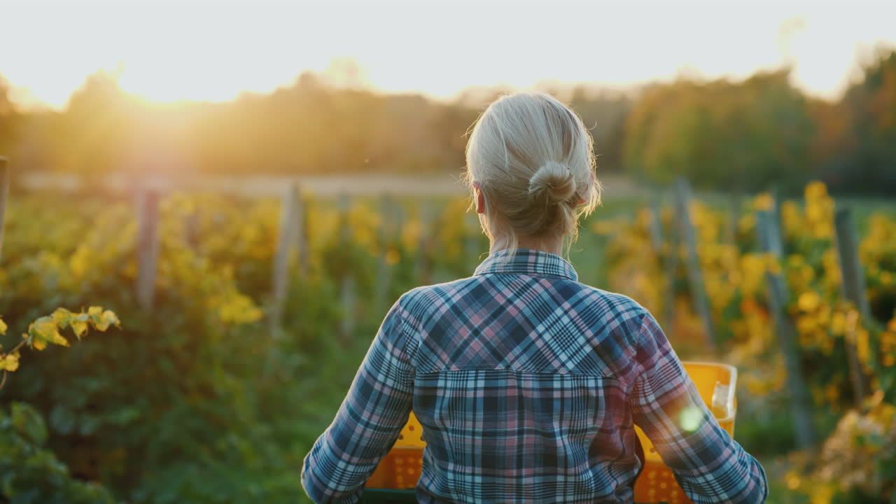 농부는 잘 익은 빨간 사과 작은 정원과 유기농 제품 컨셉으로 바구니를 들고 있습니다.