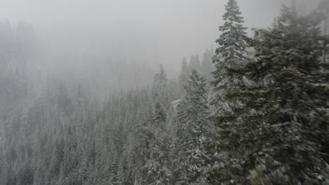 Flying-over-forest-during-winter-snowstorm,-rural-dirt-road-reveal,-cascade-mountains