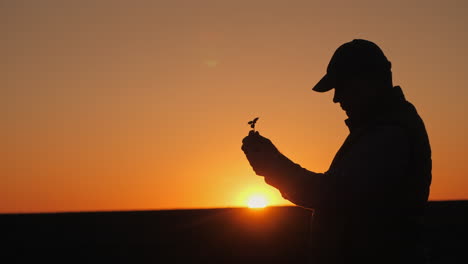 farmer observing a seedling at sunset