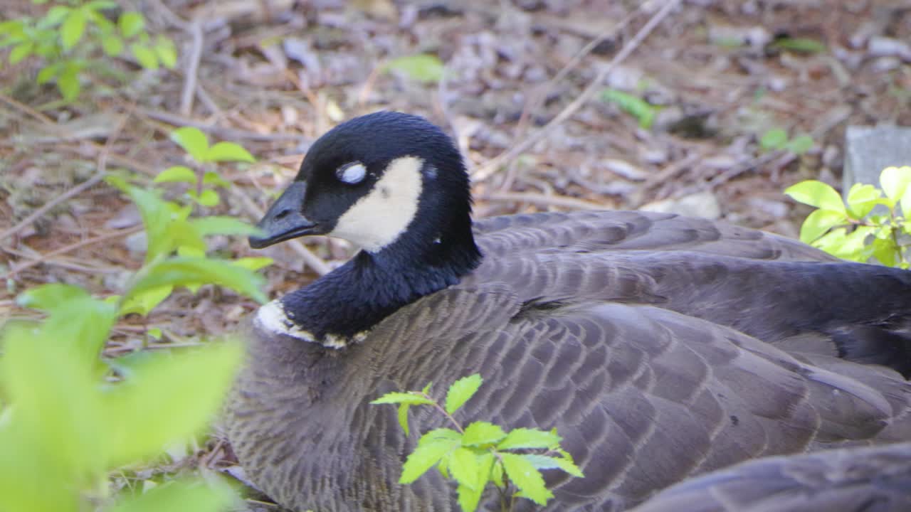 도쿄 최고의 전망