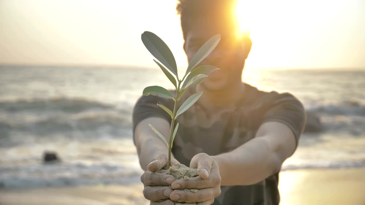 joven sonriente sosteniendo una pequeña planta verde o tomando muestras en sus dos manos contra el sol dorado naciente