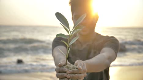 smiling young man holding a small green plant or sampling in his both hands against the rising golden sun