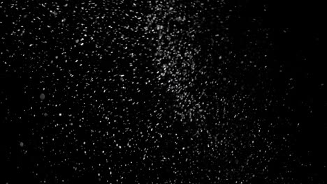 verdadera nieve cayendo sobre un fondo negro