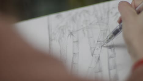 Person sketching plants in notepad close up
