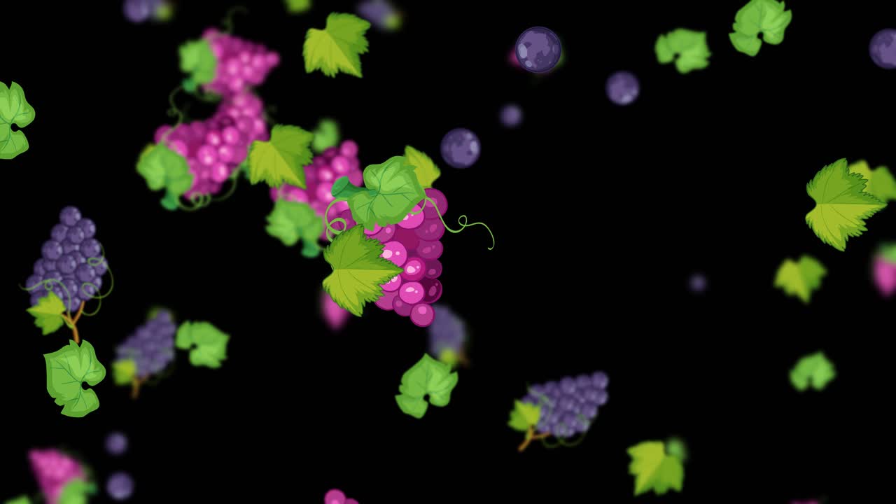 검은 바탕에 포도와 잎이 떨어지는 것
