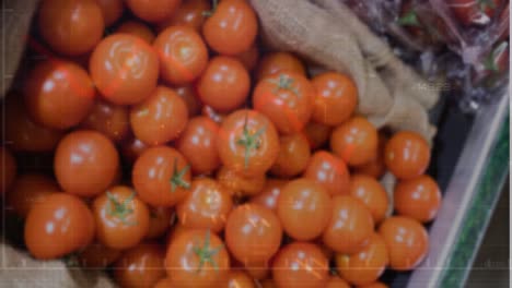 Animation-of-statistical-data-processing-over-close-up-of-fresh-tomatoes-at-a-grocery-store