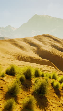 desert landscape with sand dunes and mountains