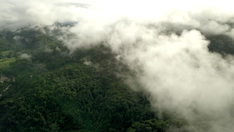 un impresionante paisaje aéreo de una montaña de selva tropical verde y exuberante