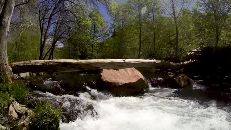 Water-from-Oak-Creek-falls-over-rock-and-dead-trees,-Sedona,-Arizona