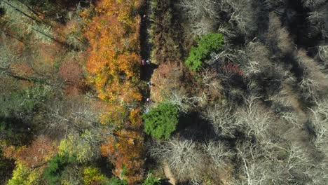 drone tracks hikers on the at, appalachian trail from above in a cinematic high angle view