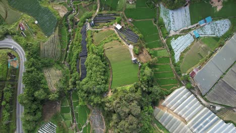 general landscape view of the brinchang district within the cameron highlands area of malaysia