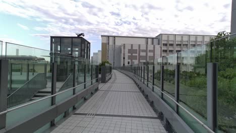 la cubierta peatonal de tokyo toyosu 2022