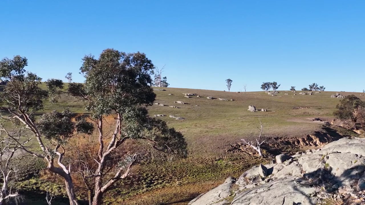 Ampia panoramica di affioramenti rocciosi e alberi di eucalipto a Uralla, Nuovo Galles del Sud, Australia