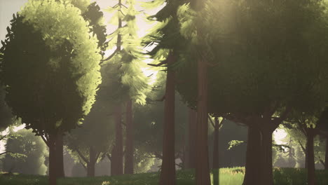paisaje forestal verde de dibujos animados con árboles y flores
