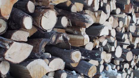 stacked firewood logs in winter