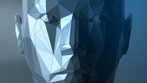 abstract polygonal face