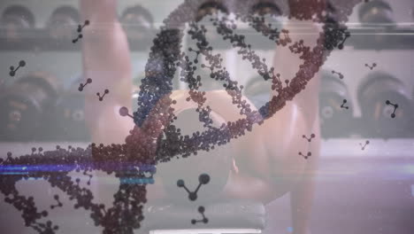 animación de la hilatura de cadenas de adn y procesamiento de datos sobre el ejercicio del hombre fuerte