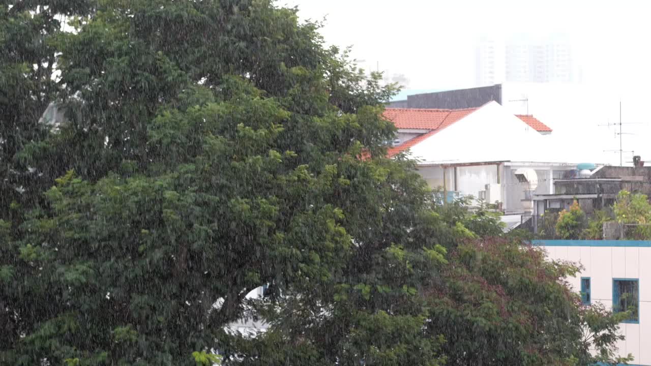 도시 에서 많은 비 가 내리는 것