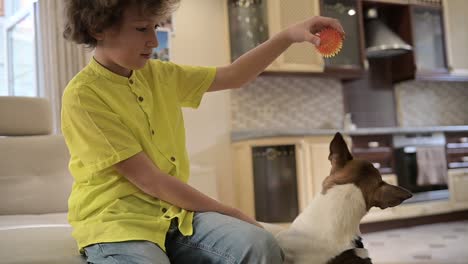 blond boy with curly hair sitting on the couch while playing with his dog. the dog wants steal him the ball out of his hands