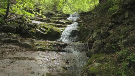 waterfall, forest, woods, river, vratsa