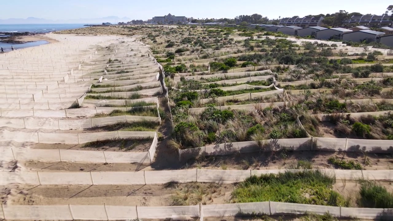 Progetto di ripristino delle dune che utilizza reti per proteggere le dune dall'erosione eolica. Drone.