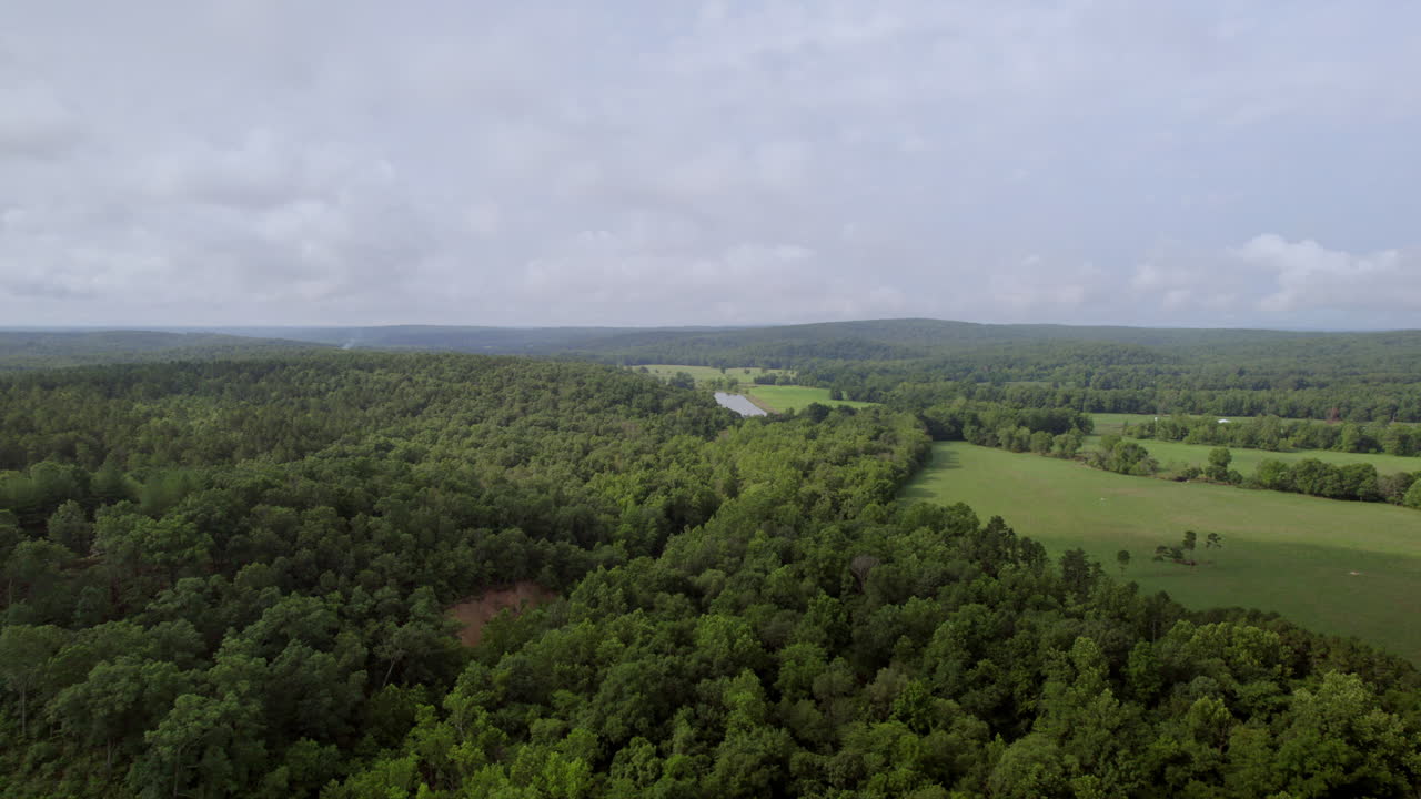 árboles y campos elevados en el sur de missouri en un bonito día de verano