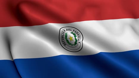 Bandera-Paraguaya