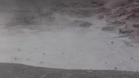 un pozo de lodo gris burbujea en el parque nacional de yellowstone