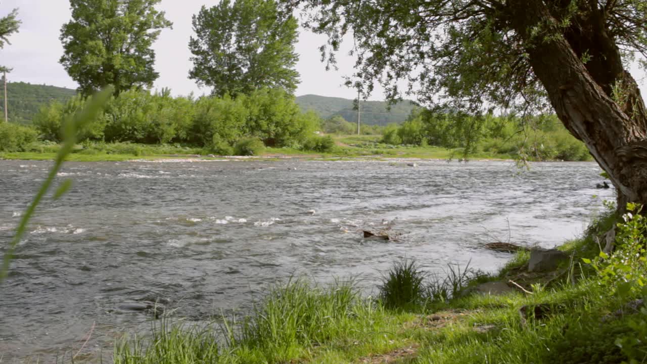 Paesaggio fluviale. Acqua del fiume che scorre. Sfondo di natura estiva.