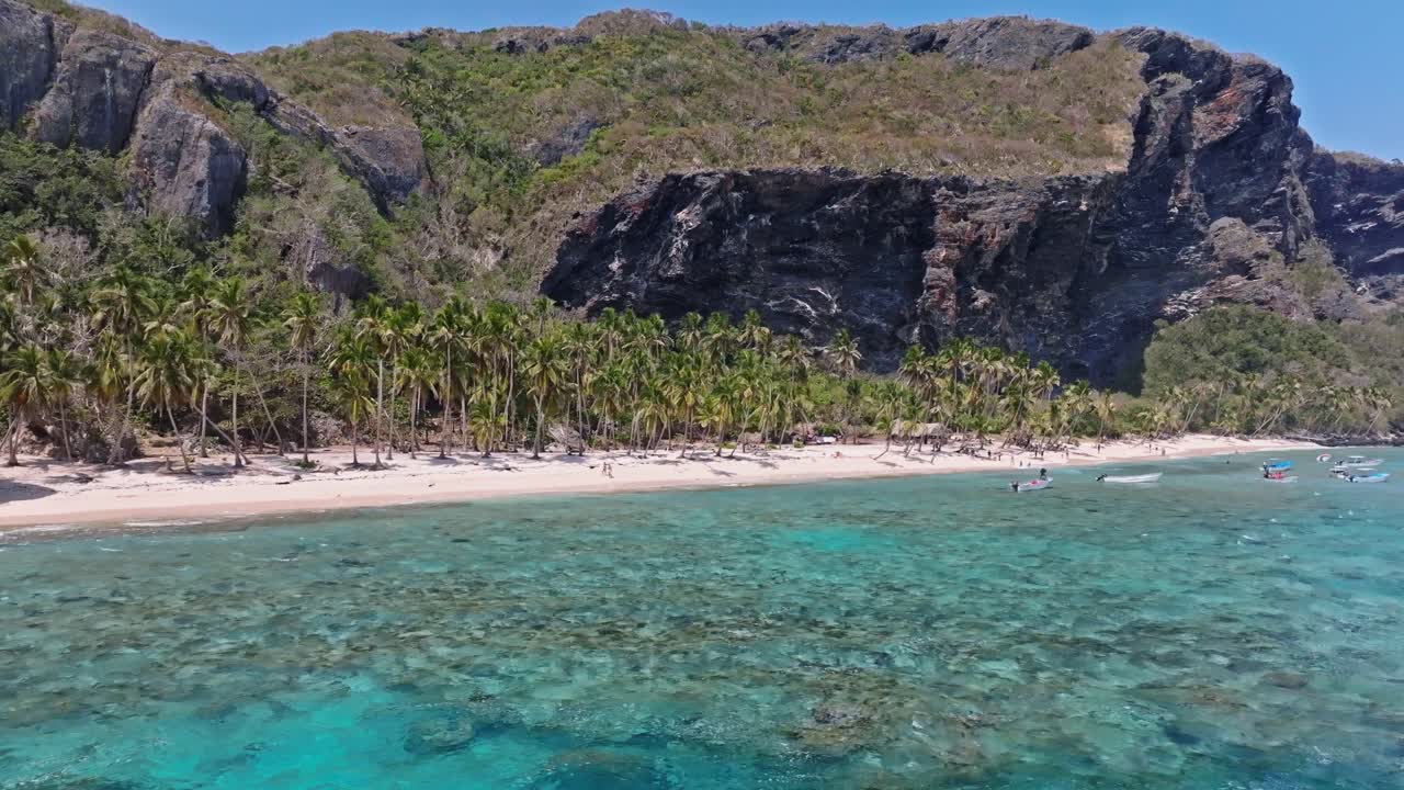 Spiaggia paradisiaca con fitte palme sulla battigia a Playa Fronton nella Repubblica Dominicana.