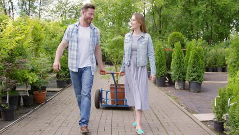 happy young couple in plant shop just bought a nice potted tree