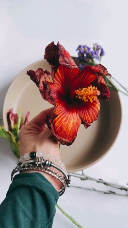 woman holding a dried hibiscus flower in a terracotta bowl