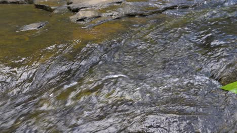 Una-Hoja-Verde-Flotando-En-El-Agua-Que-Fluye-Río-Abajo