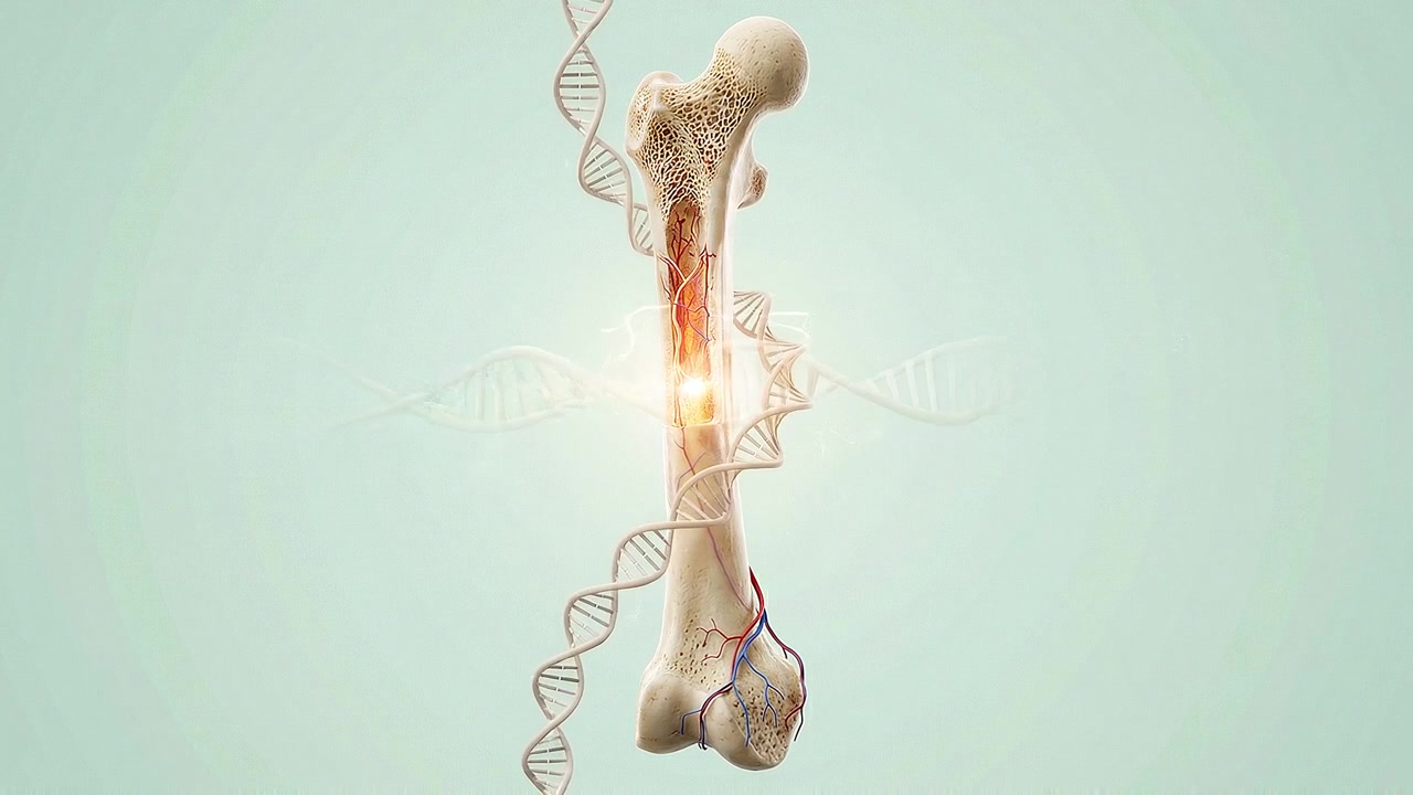Animazione 3D della struttura ossea umana con elica del DNA