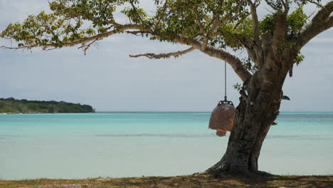 una pintoresca bahía tropical con un bonsái en la playa