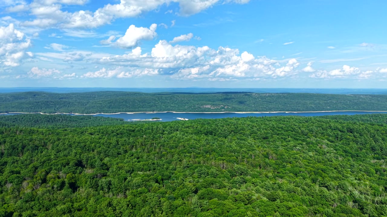 Aerial view of dense green forest with distant blue lake under a bright summer sky