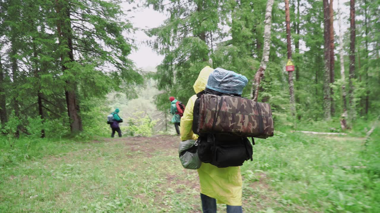 Hikers in a Forest During Rainy Weather