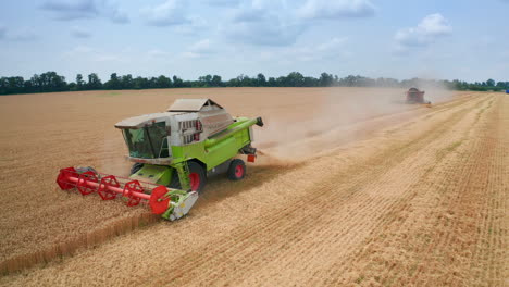 two harvesters following one another in the field. agricultural machines harvesting bread in summer season.