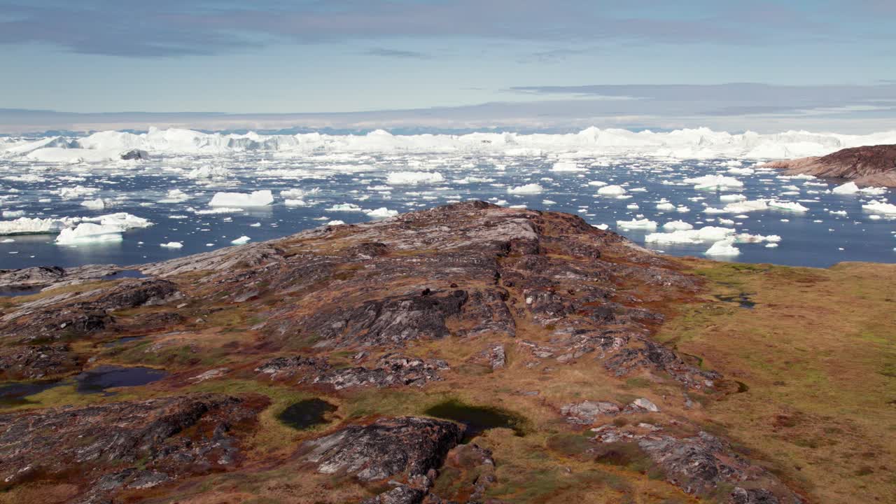グリーンランドのジャコウウシを捉えたドローンの回転映像。背景には氷山が浮かぶディスコ湾が広がり、北極圏の野生動物がドラマチックな氷の風景を背景に映し出されています。
