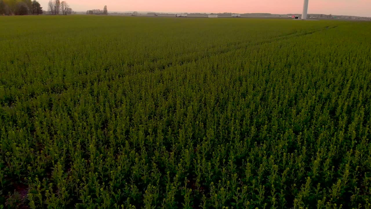 Drone che vola veloce sopra un campo verde.