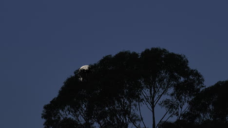 time lapse of lunar movement at night