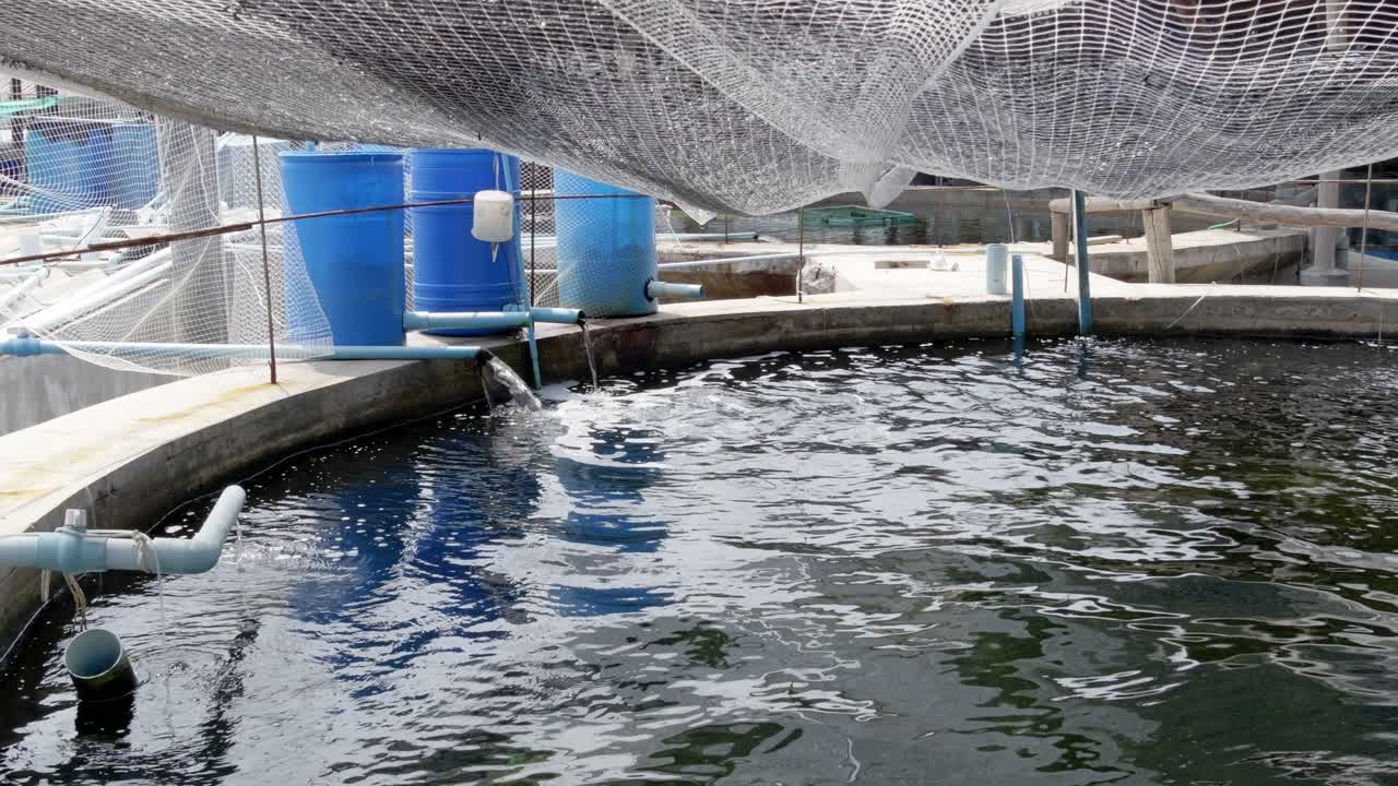 Aquaculture innovations sustainable fish farming techniques coastal environments