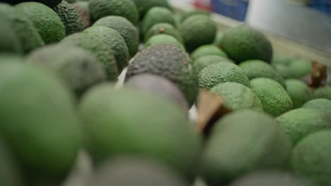 avocado packing house at uruapan michoacan