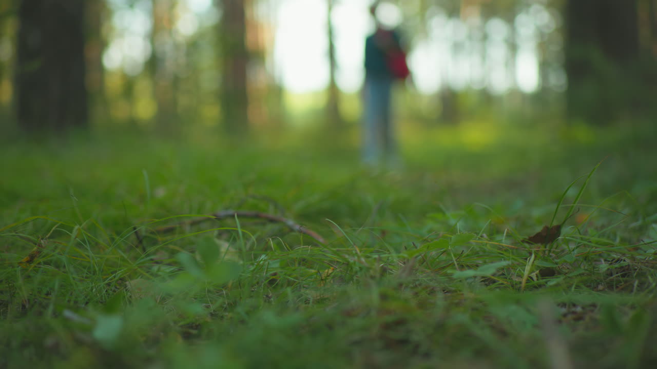 figura borrosa de una persona caminando a través de un bosque exuberante con enfoque en la vegetación de primer plano, el césped alto y los detalles del suelo del bosque, la luz solar cálida se filtra a través de los árboles