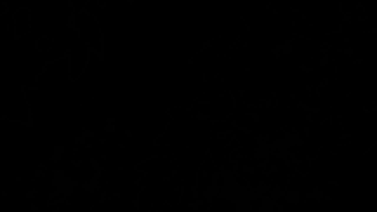 Soft shadowed leaves silhouette animated overlay, transparent 4K video, alpha channel, ProRes 4444